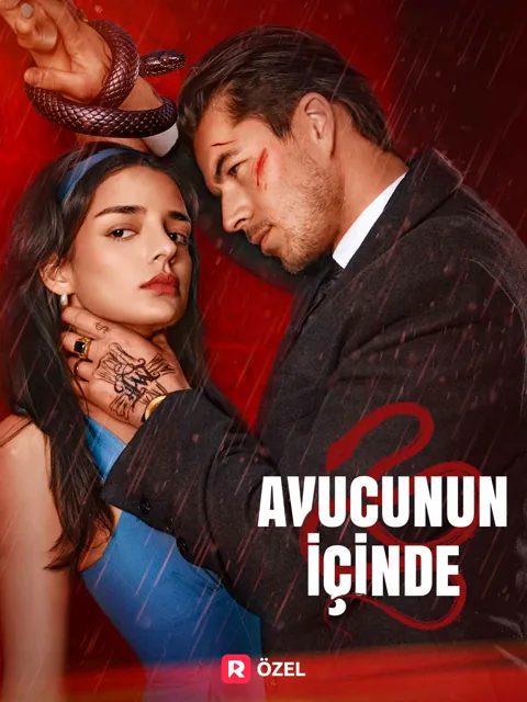 Avucunun İçinde